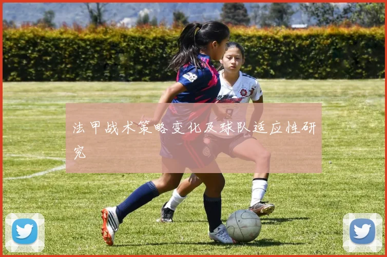 法甲战术策略变化及球队适应性研究