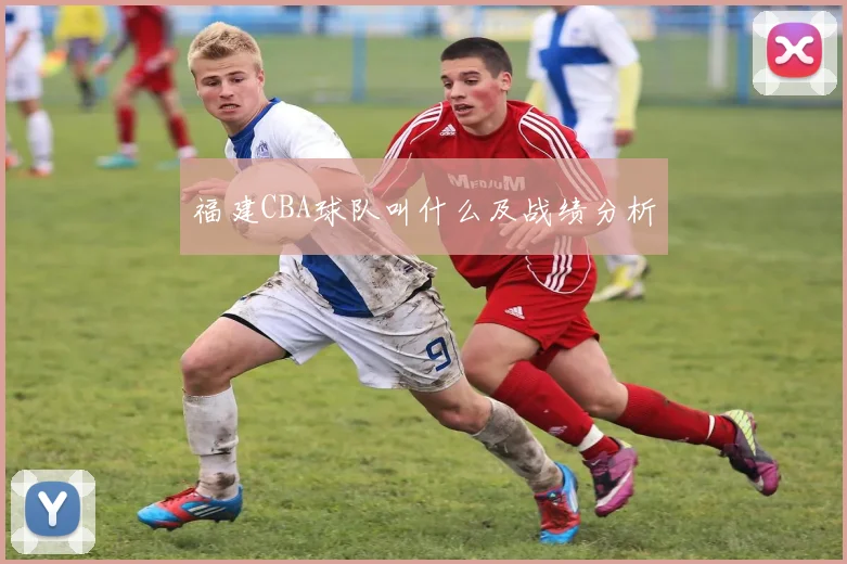福建CBA球队叫什么及战绩分析
