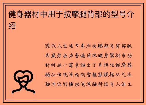 健身器材中用于按摩腿背部的型号介绍